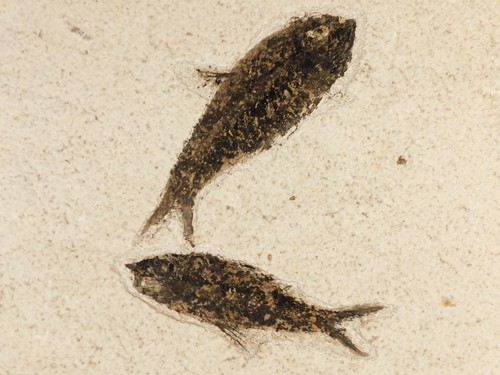 Two larger million year - larger,